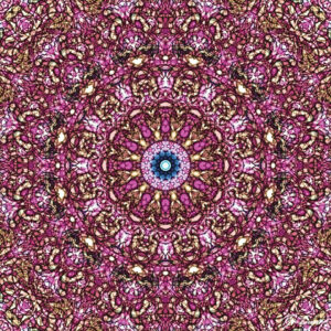 Floral-Core-web